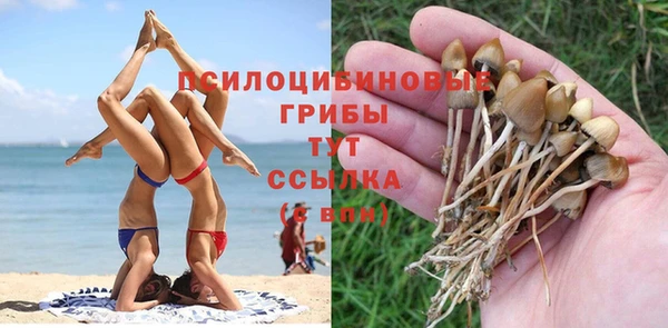 стафф Алзамай