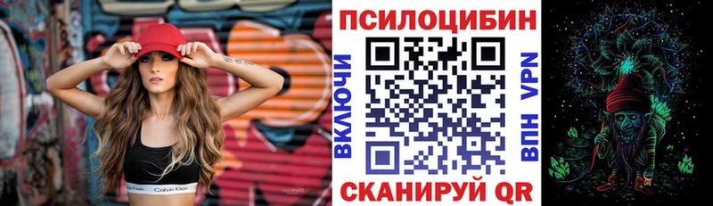 Псилоцибиновые грибы Magic Shrooms  Купить закладки  Сунжа 